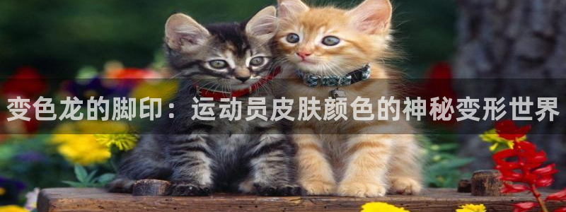 k1体育十年品牌官网：变色龙的脚印：运动员皮肤颜色的神秘变形世界